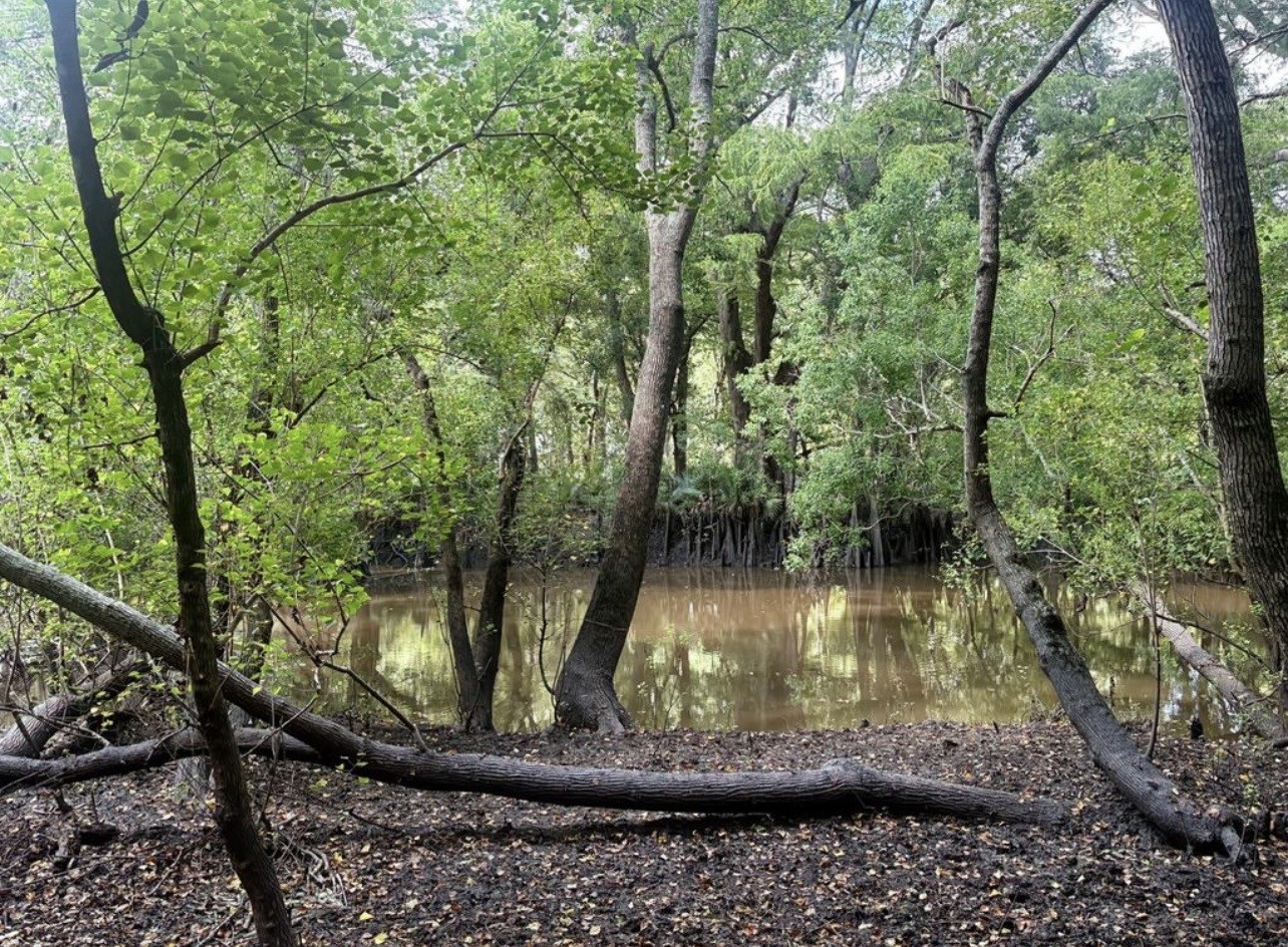 0 Northwest Hilltop Road Beasley, TX 77417 - Photo 5 of 11 Back of property near East Bernard River