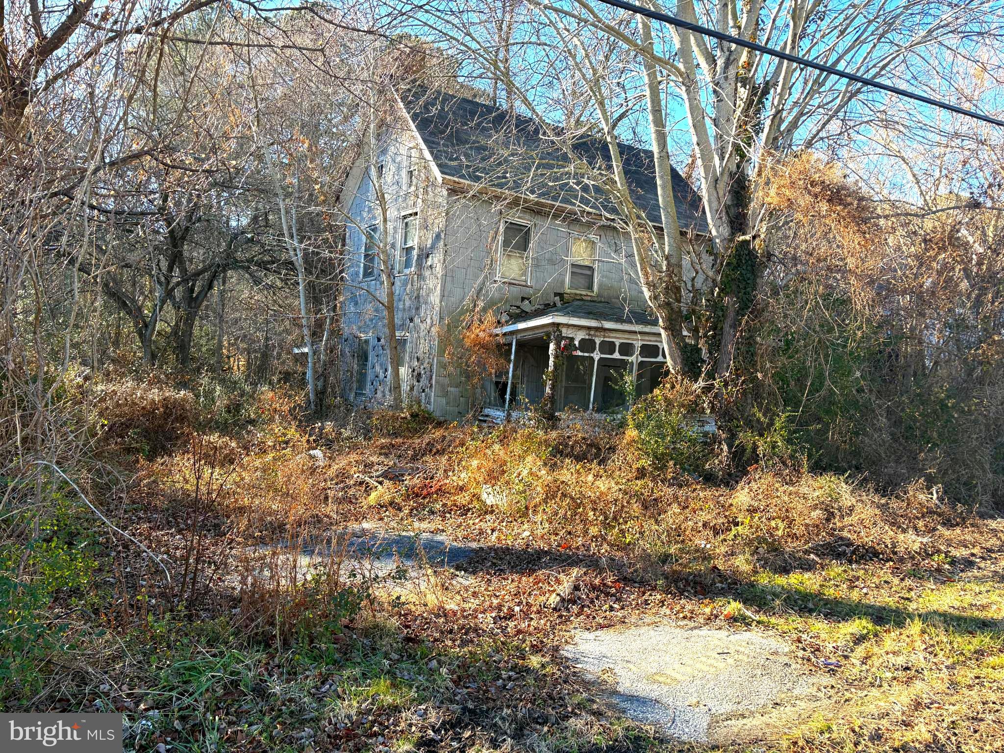 a backyard of a house with large trees