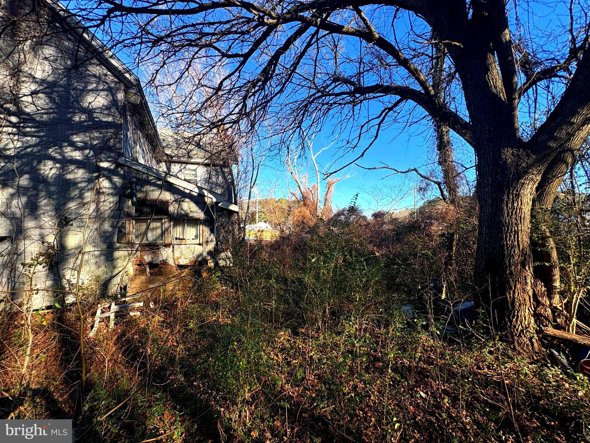 10134 Germantown Road Berlin, MD 21811 - Photo 3 of 6 a view of a trees