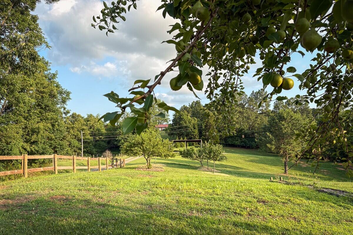 1125 Loyds Store Road Vinton, VA 24179 - Photo 3 of 119 3