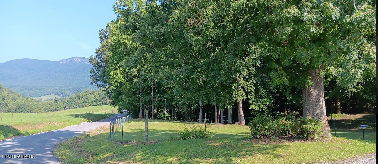 1057 Crockett Ridge Road Rose Hill, VA 24281 - Photo 17 of 58 IMG_7757