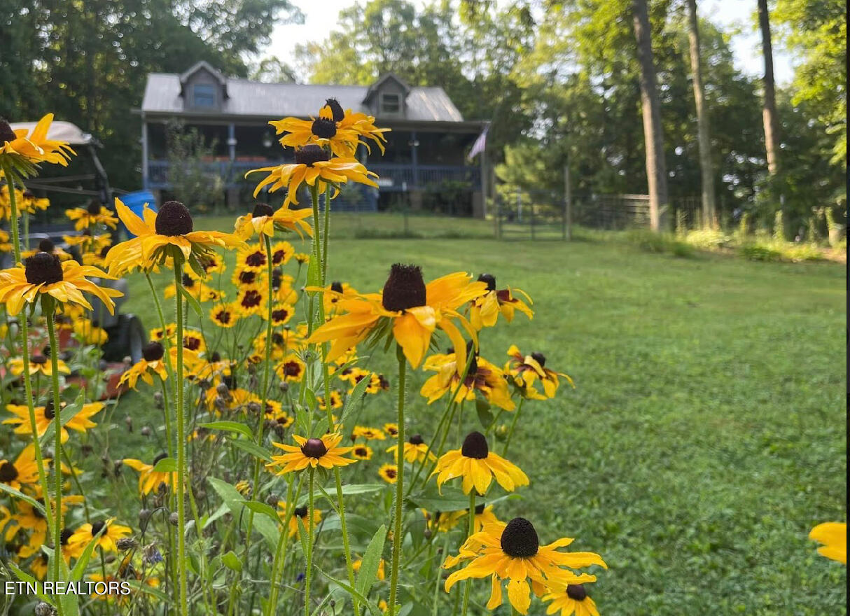 1057 Crockett Ridge Road Rose Hill, VA 24281 - Photo 20 of 58 IMG_7764