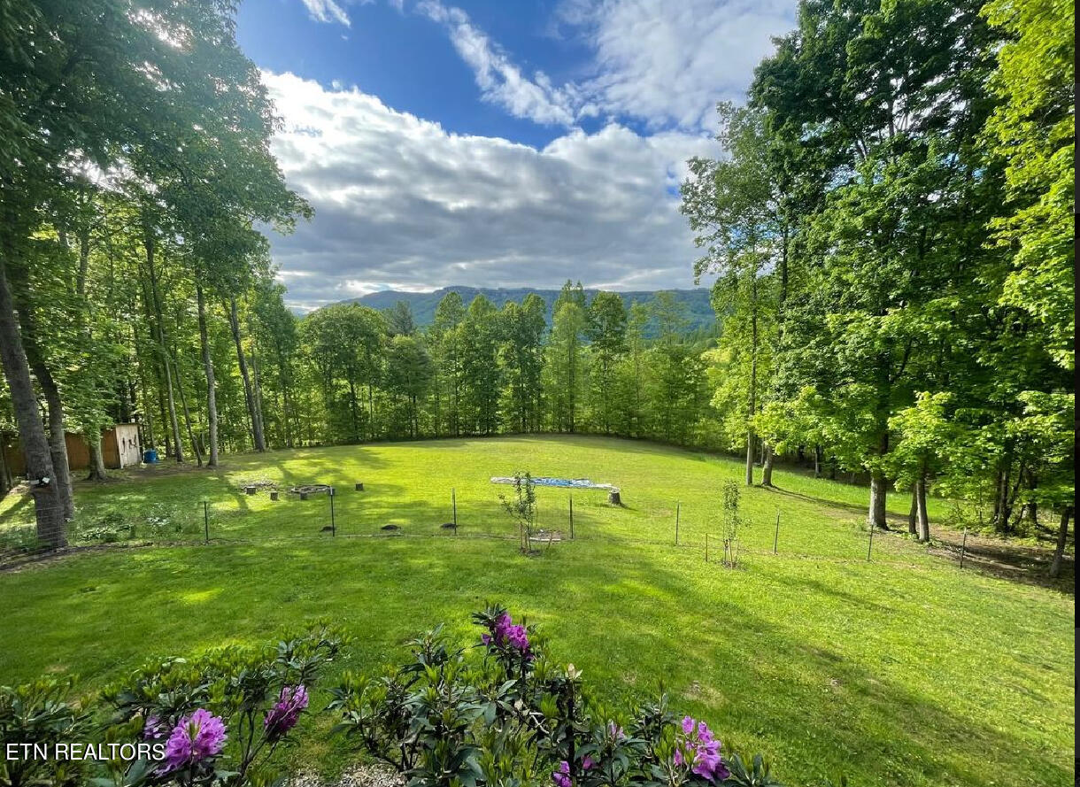 1057 Crockett Ridge Road Rose Hill, VA 24281 - Photo 22 of 58 IMG_7802