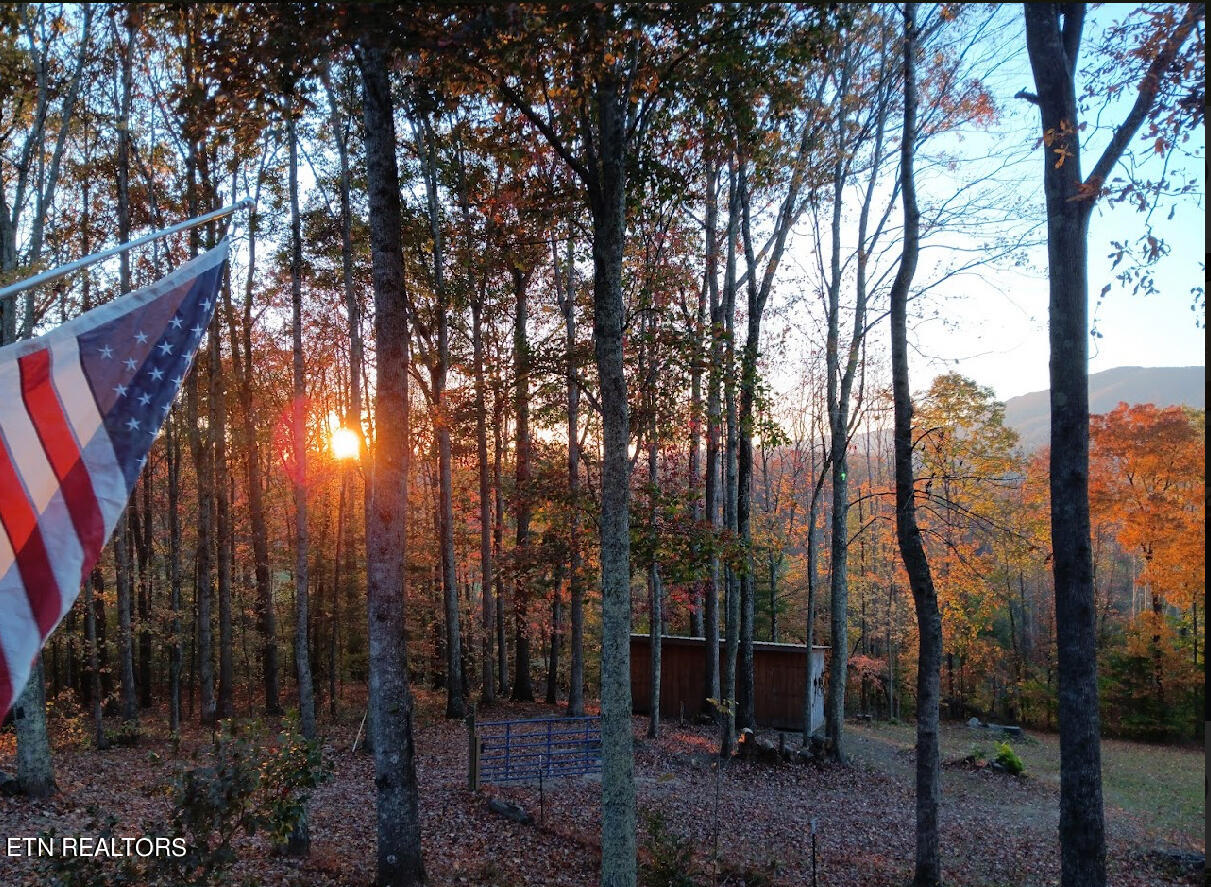 1057 Crockett Ridge Road Rose Hill, VA 24281 - Photo 23 of 58 IMG_7804