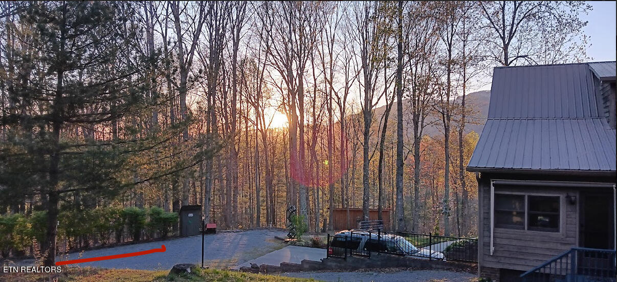 1057 Crockett Ridge Road Rose Hill, VA 24281 - Photo 24 of 58 IMG_7803