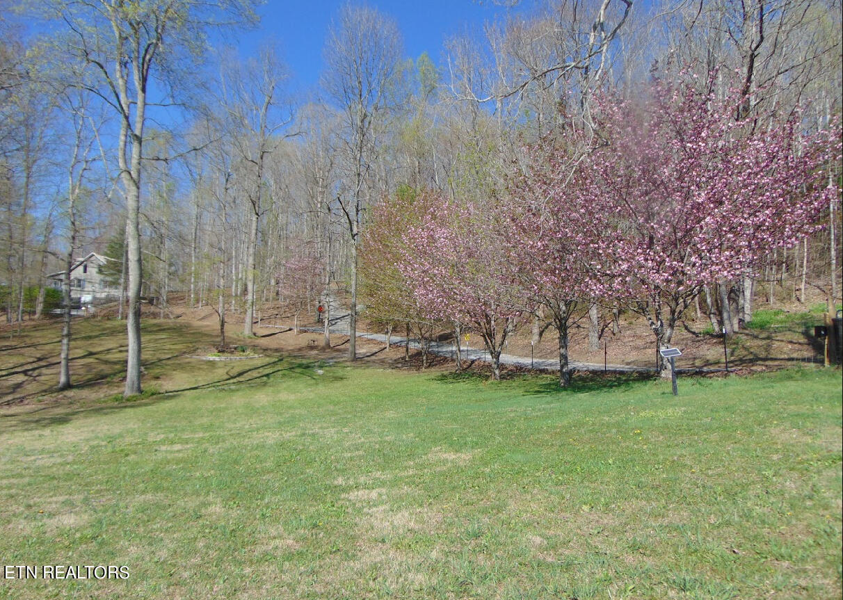 1057 Crockett Ridge Road Rose Hill, VA 24281 - Photo 25 of 58 IMG_7794