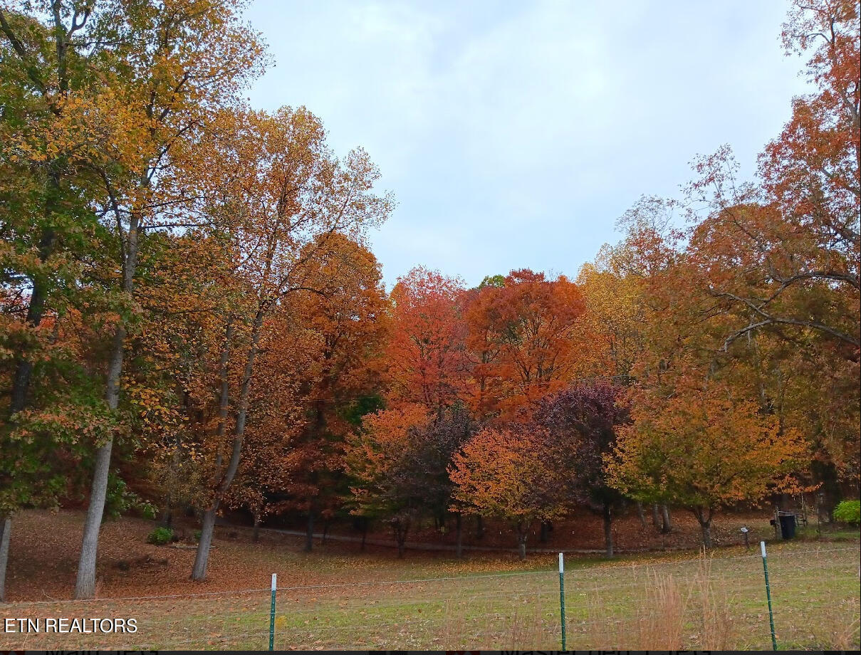 1057 Crockett Ridge Road Rose Hill, VA 24281 - Photo 26 of 58 IMG_7792