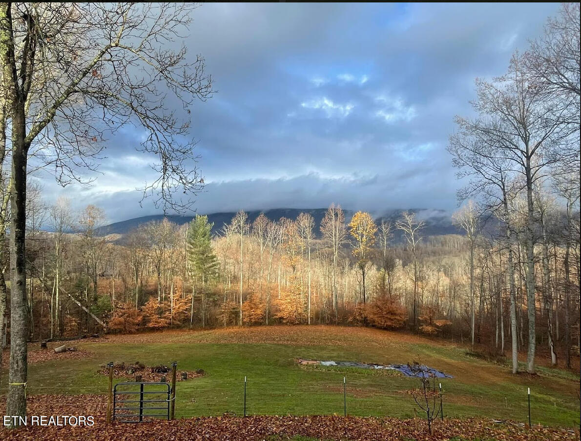 1057 Crockett Ridge Road Rose Hill, VA 24281 - Photo 27 of 58 IMG_7800