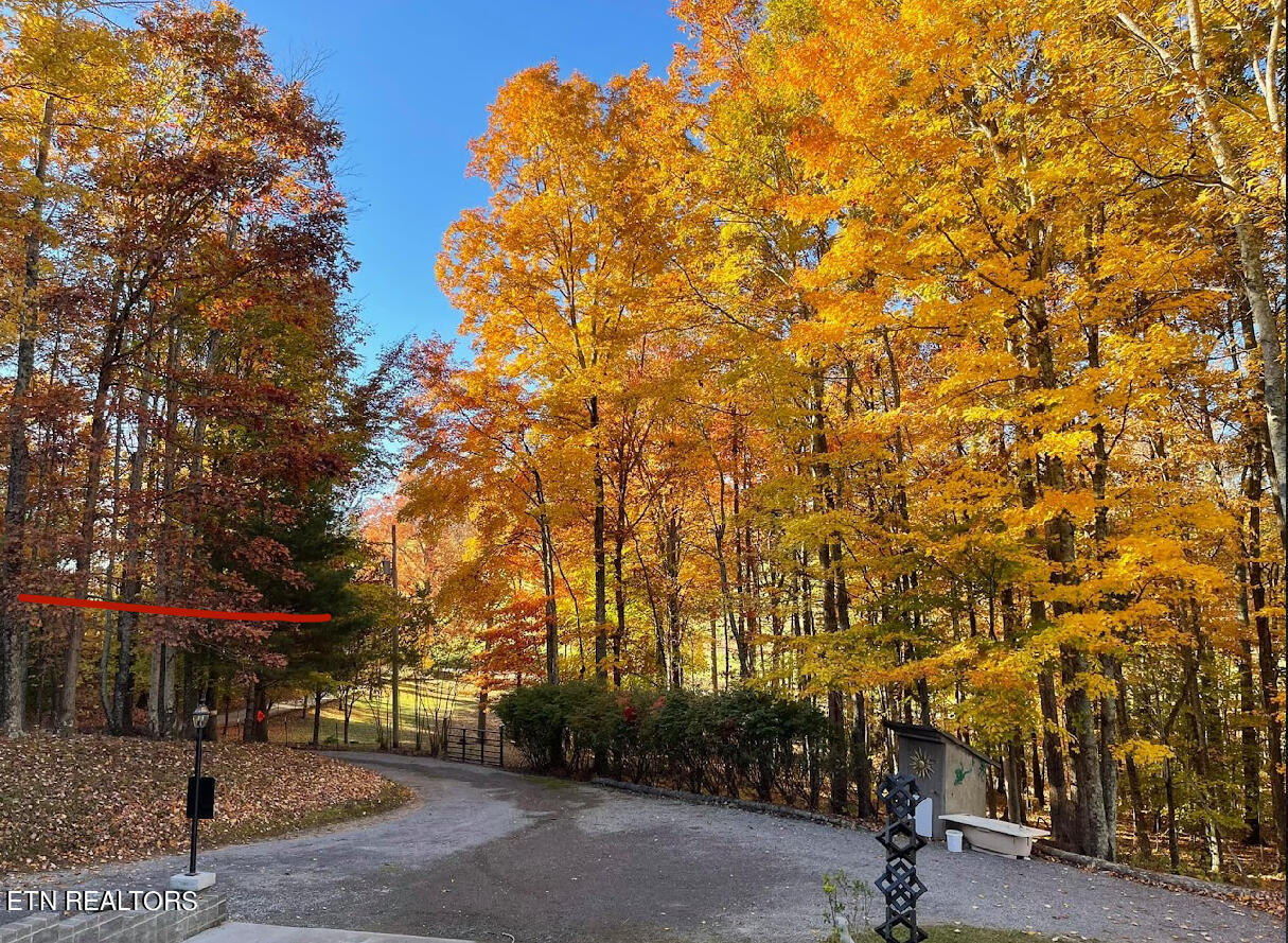 1057 Crockett Ridge Road Rose Hill, VA 24281 - Photo 28 of 58 IMG_7783