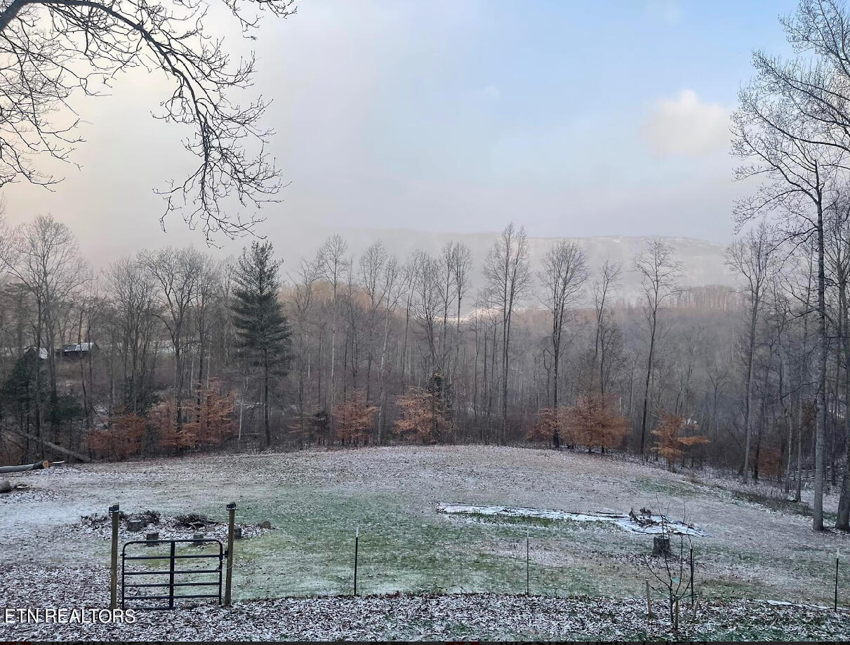 1057 Crockett Ridge Road Rose Hill, VA 24281 - Photo 29 of 58 IMG_7791