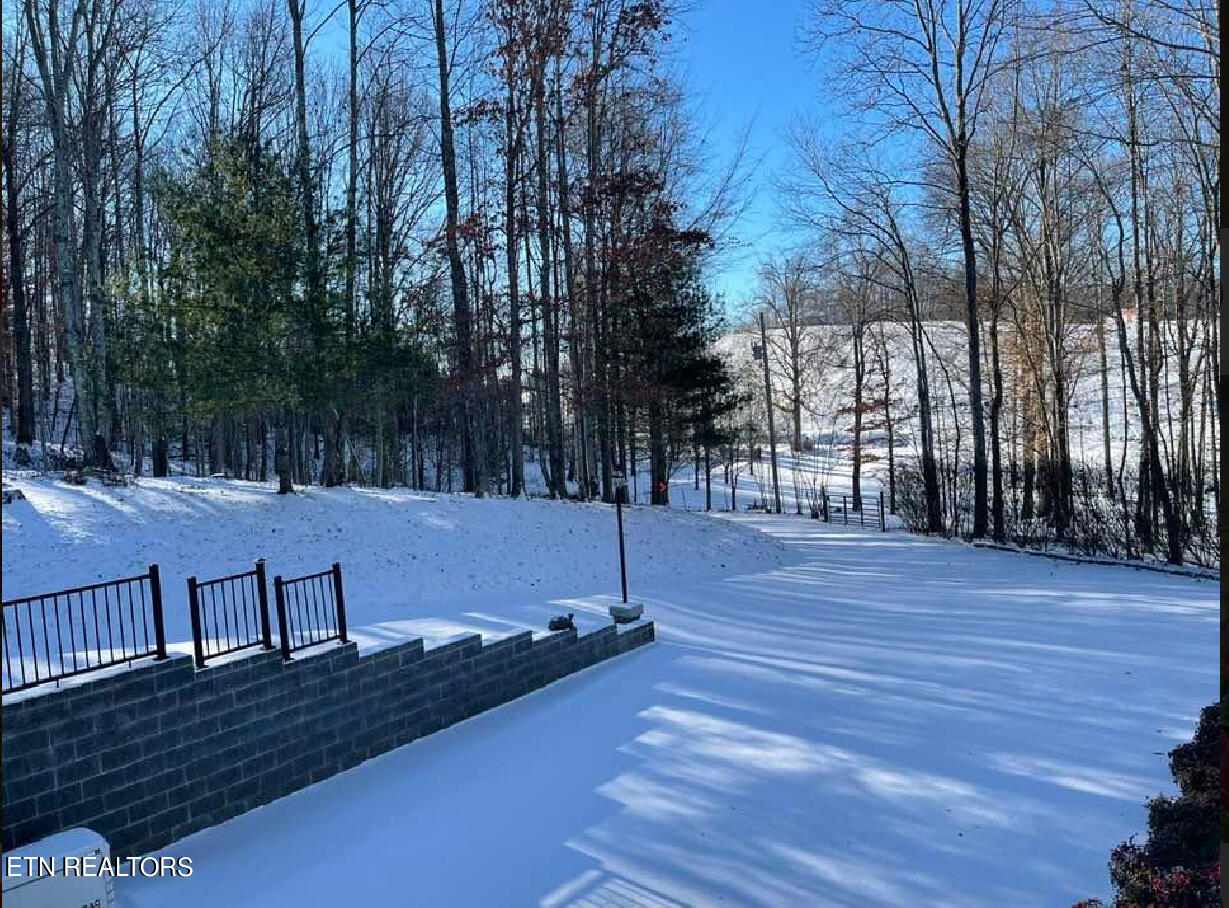 1057 Crockett Ridge Road Rose Hill, VA 24281 - Photo 31 of 58 IMG_7790