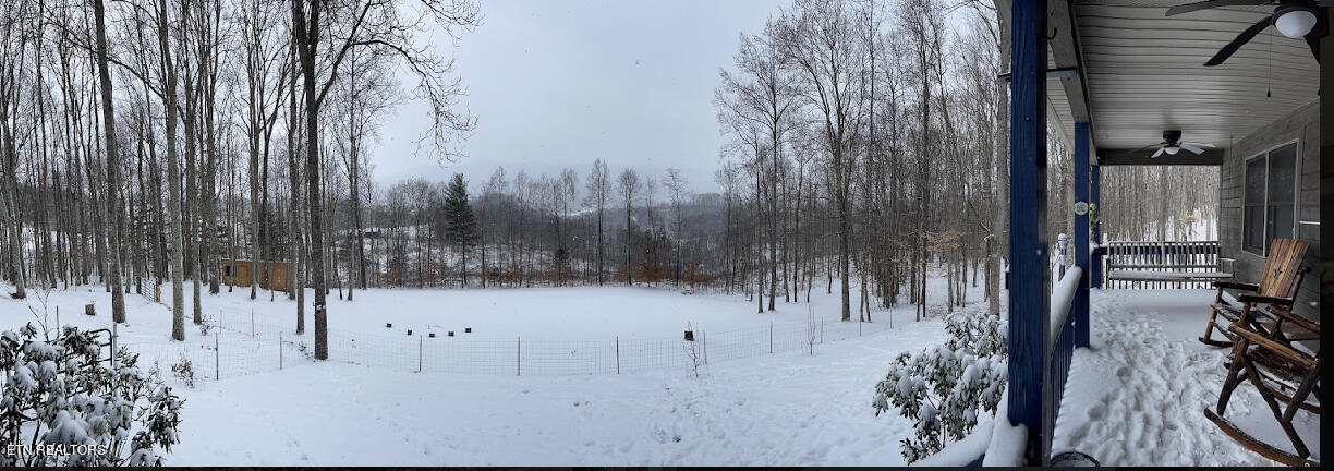 1057 Crockett Ridge Road Rose Hill, VA 24281 - Photo 32 of 58 IMG_7801