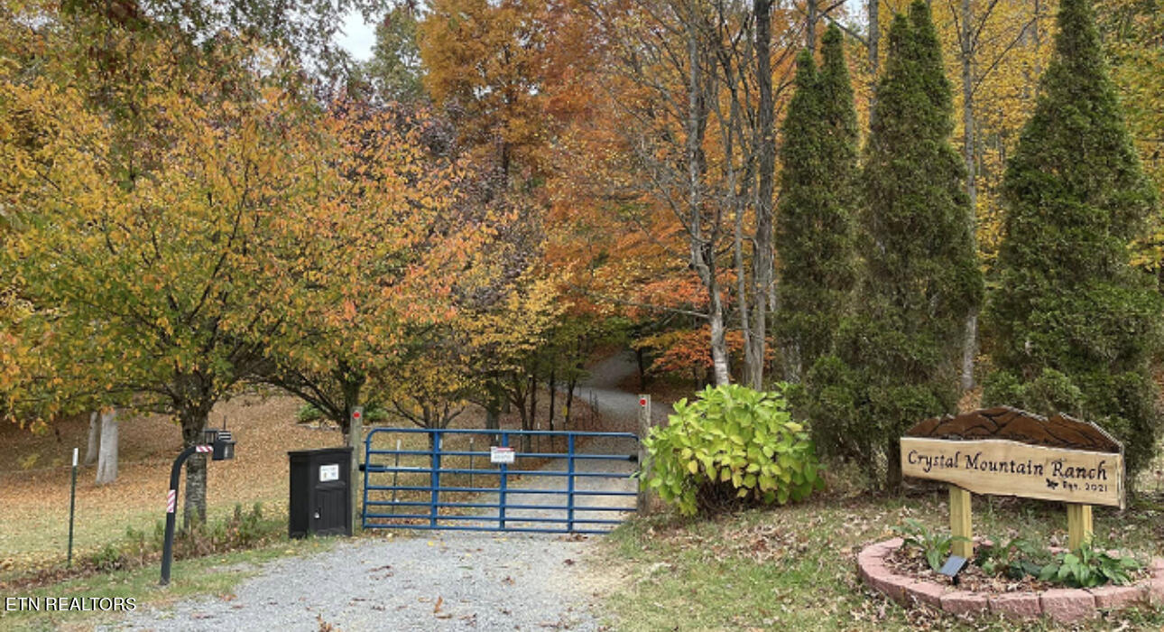 1057 Crockett Ridge Road Rose Hill, VA 24281 - Photo 9 of 58 IMG_7809