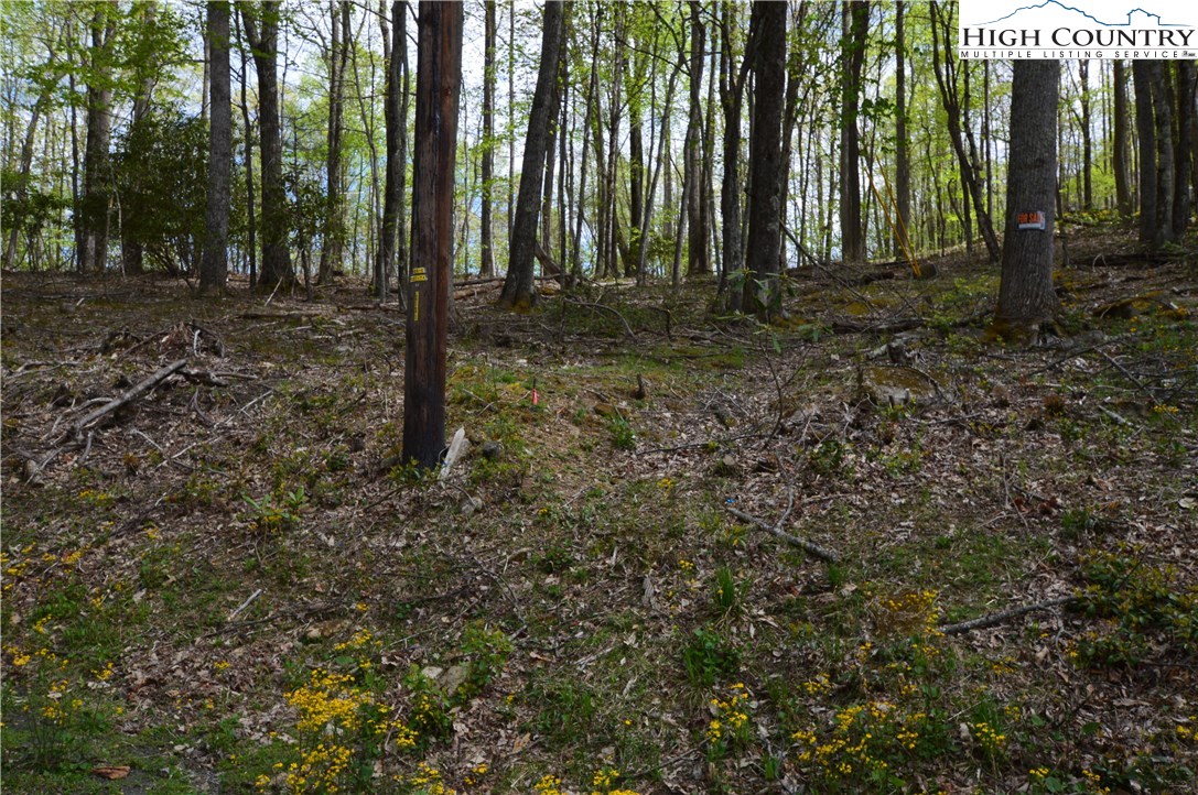 1021 Pine Ridge Road Beech Mountain, NC 28604 - Photo 2 of 7