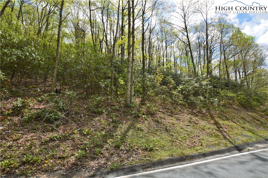 1021 Pine Ridge Road Beech Mountain, NC 28604 - Photo 4 of 7