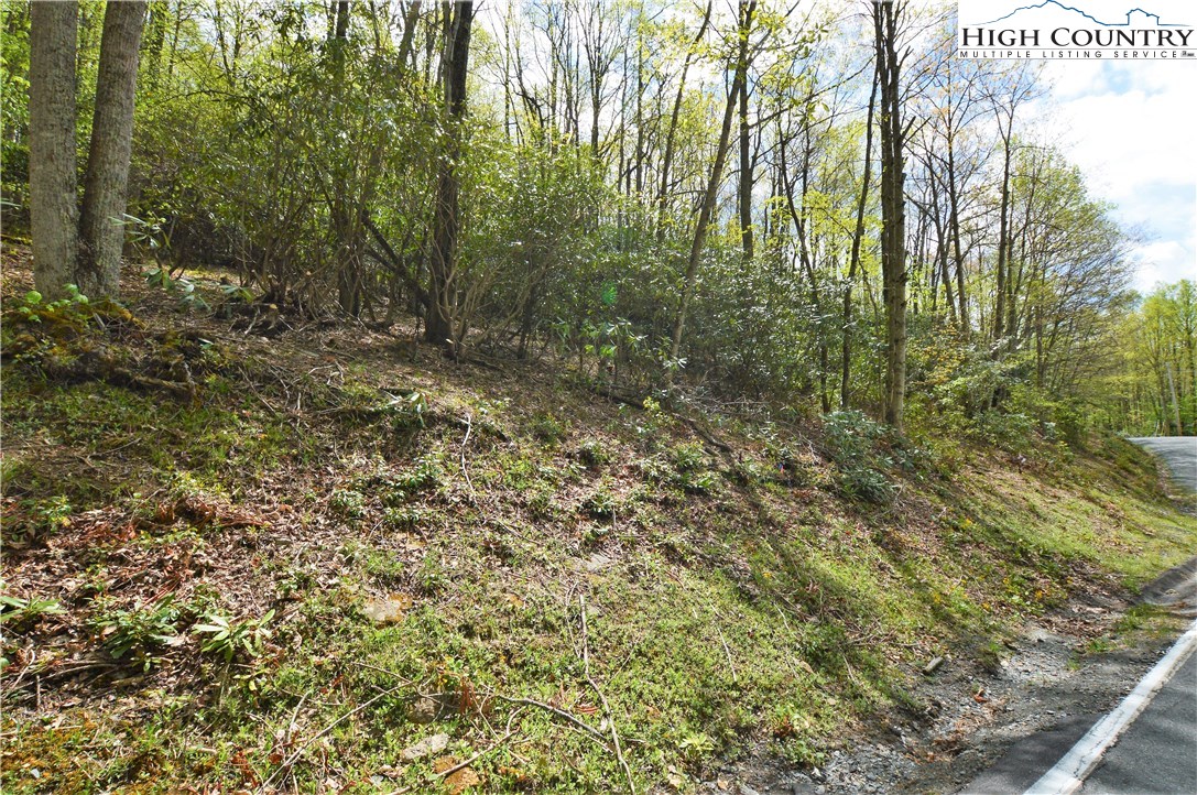 1021 Pine Ridge Road Beech Mountain, NC 28604 - Photo 5 of 7