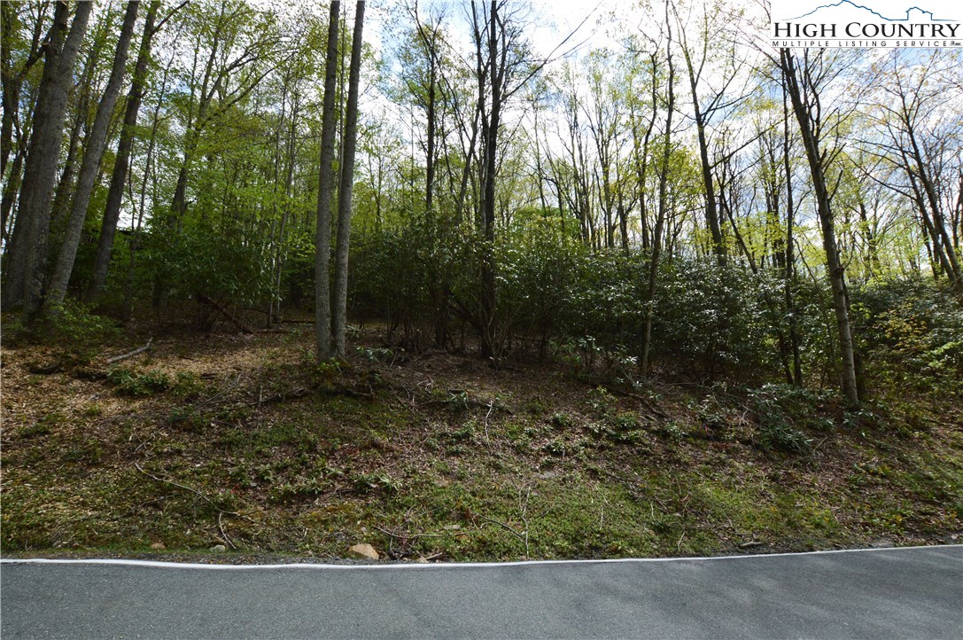 1021 Pine Ridge Road Beech Mountain, NC 28604 - Photo 6 of 7