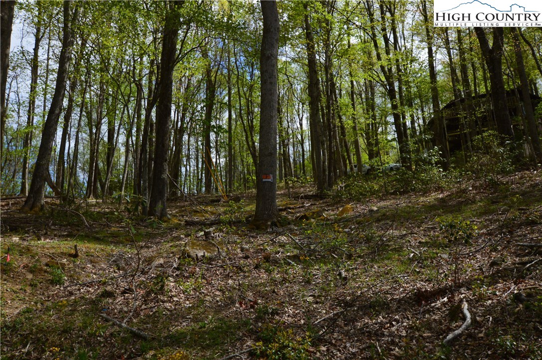 1021 Pine Ridge Road Beech Mountain, NC 28604 - Photo 7 of 7