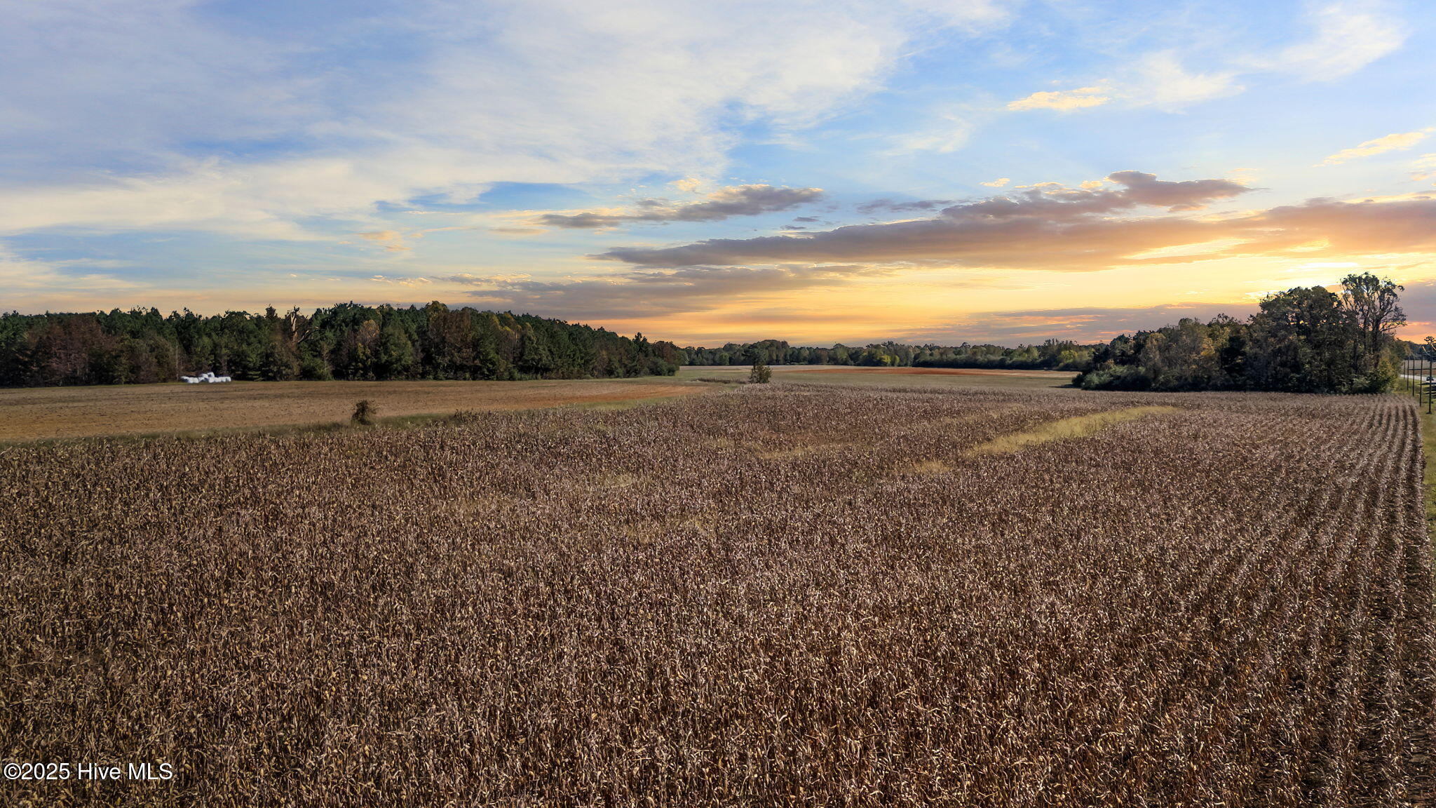 0 Nc 43 Whitakers, NC 27891 - Photo 1 of 17 Field