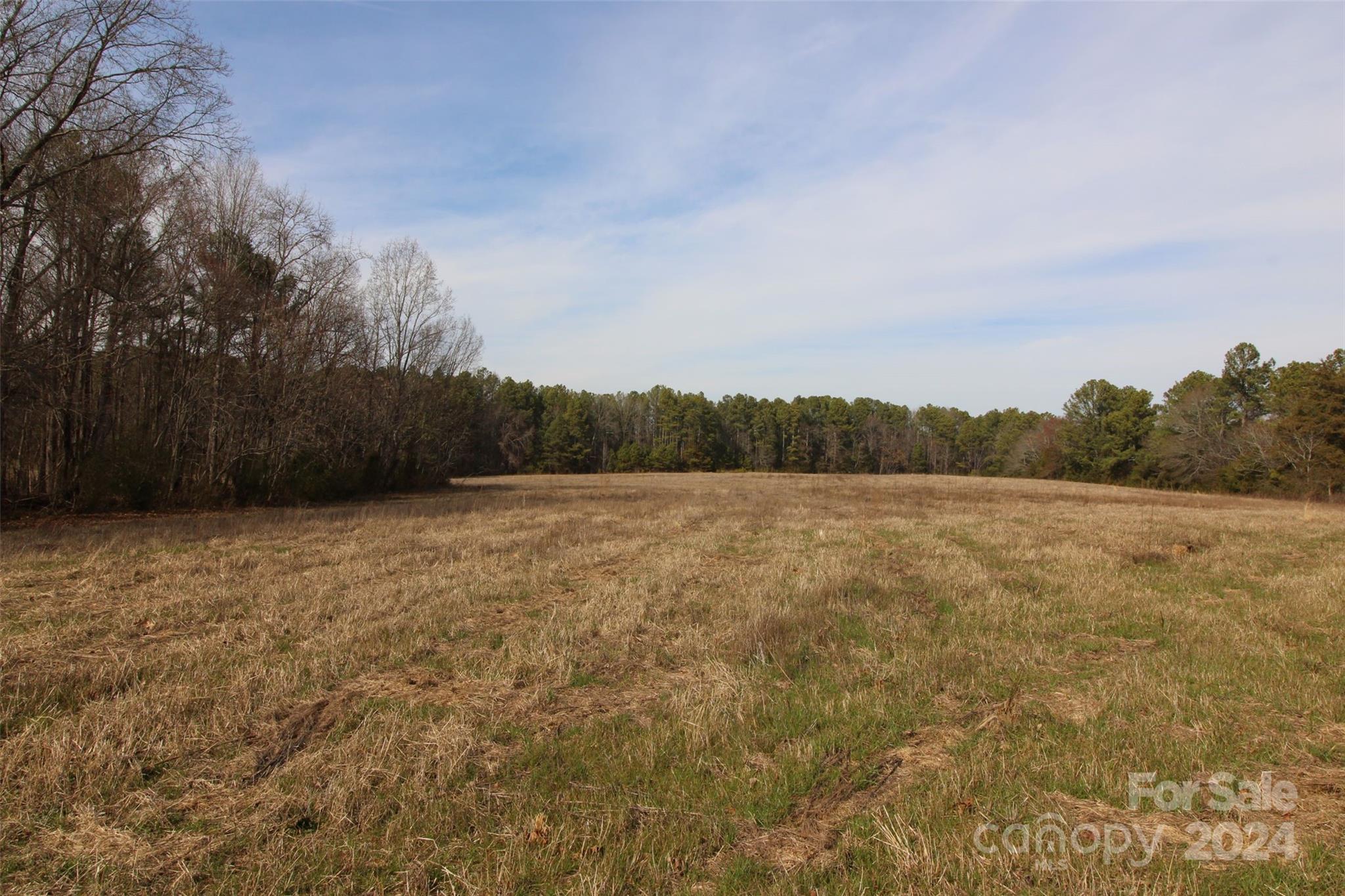 18-ac Quinn Road Chester, SC 29706 - Photo 1 of 12