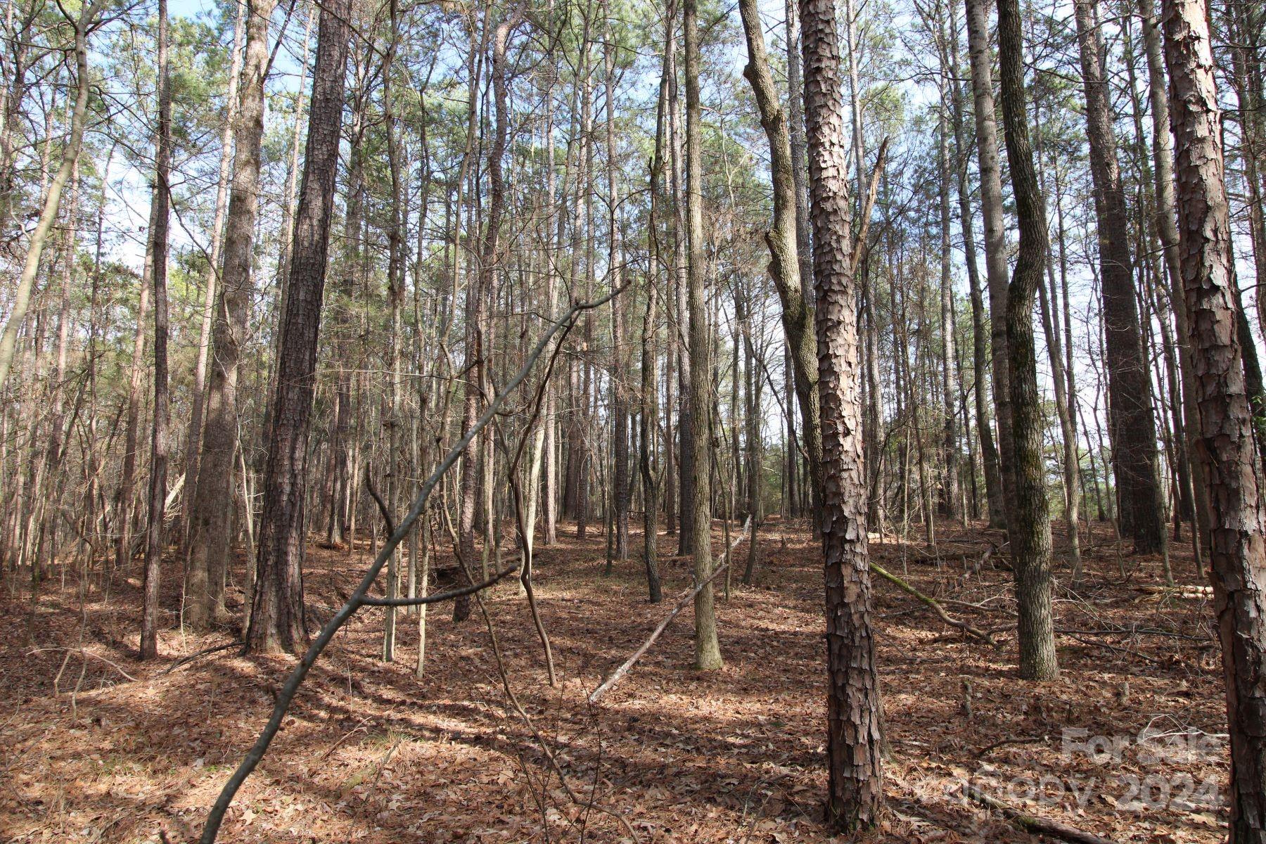 18-ac Quinn Road Chester, SC 29706 - Photo 11 of 12