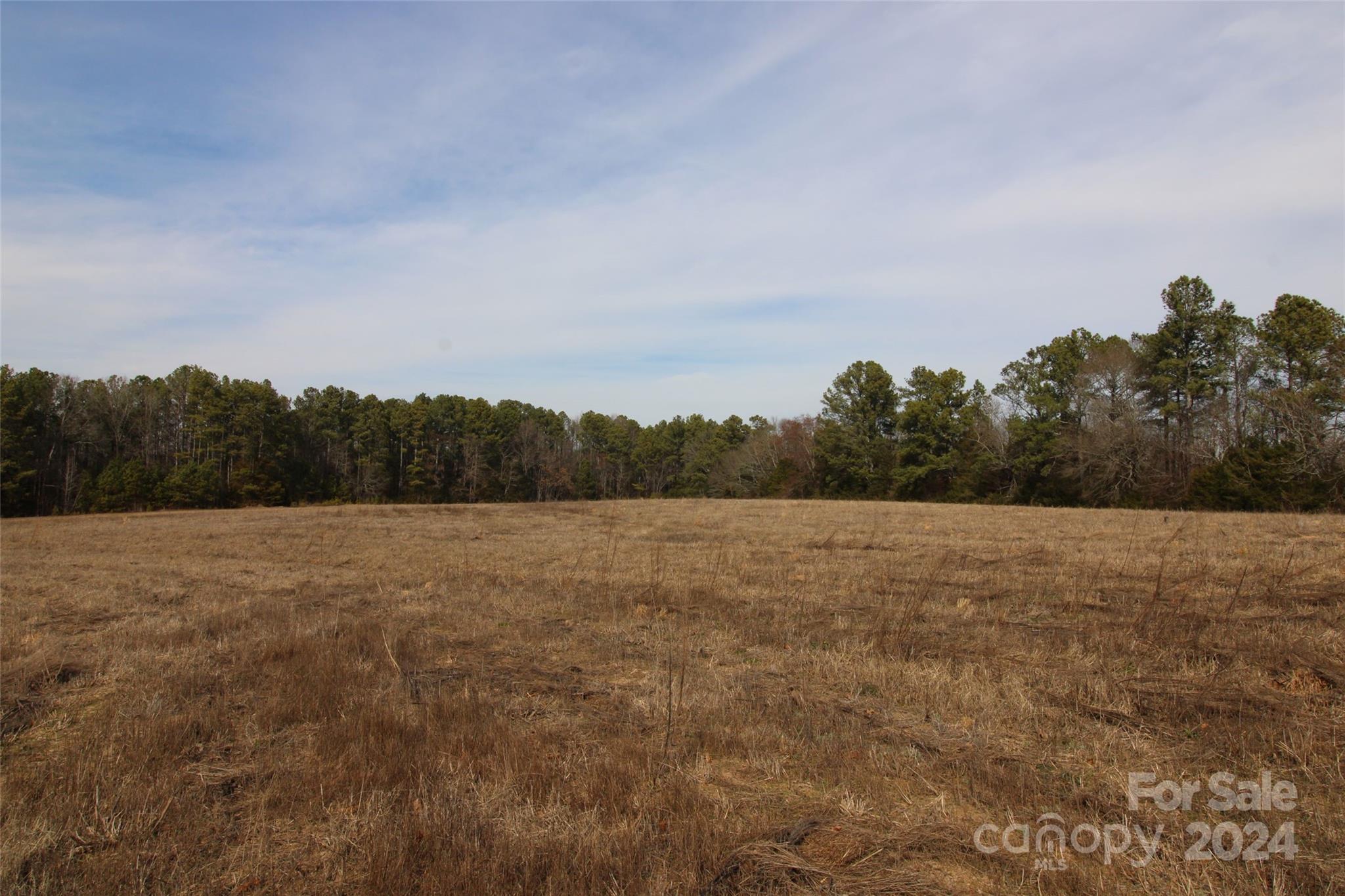 18-ac Quinn Road Chester, SC 29706 - Photo 2 of 12