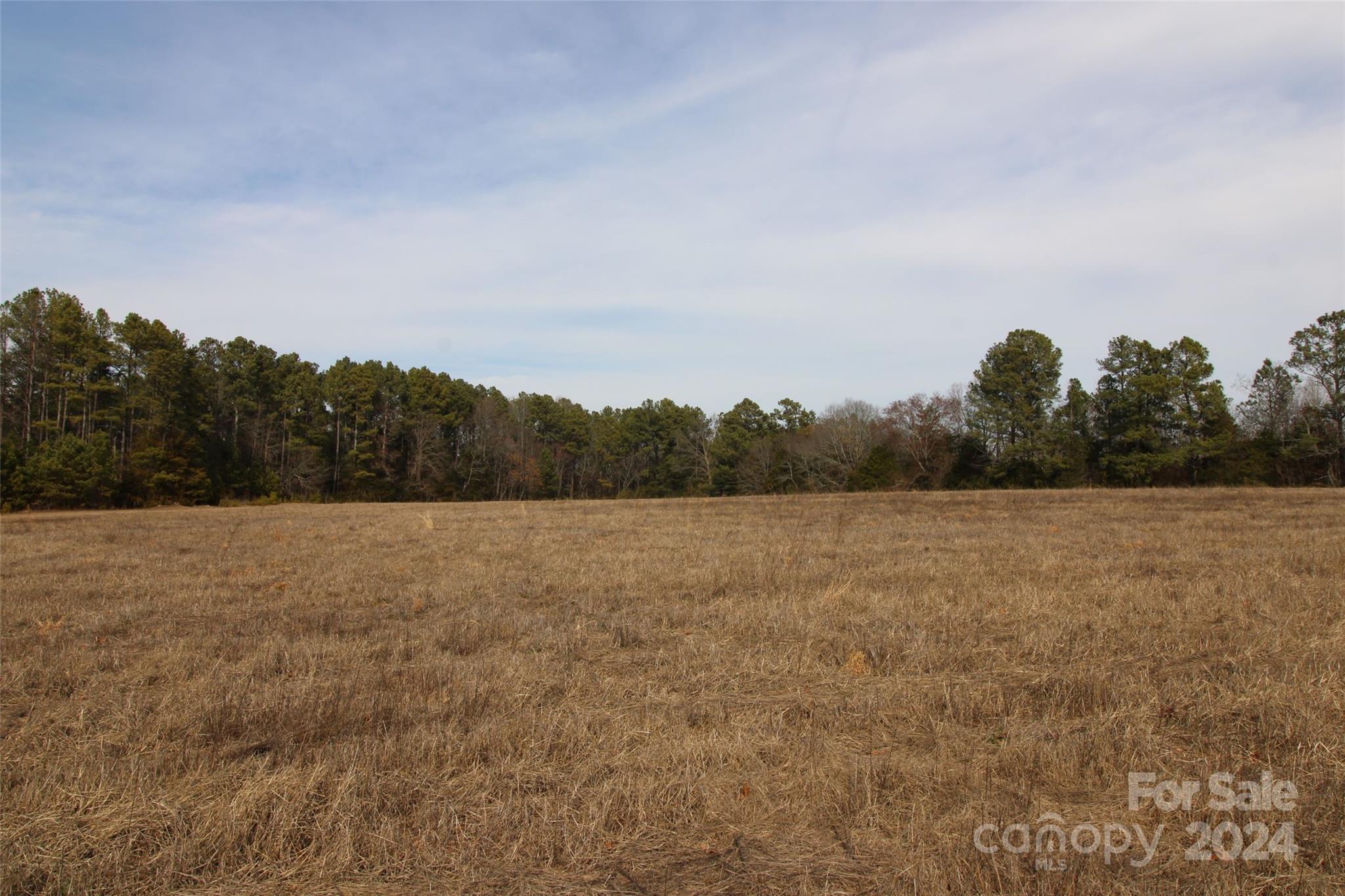 18-ac Quinn Road Chester, SC 29706 - Photo 3 of 12