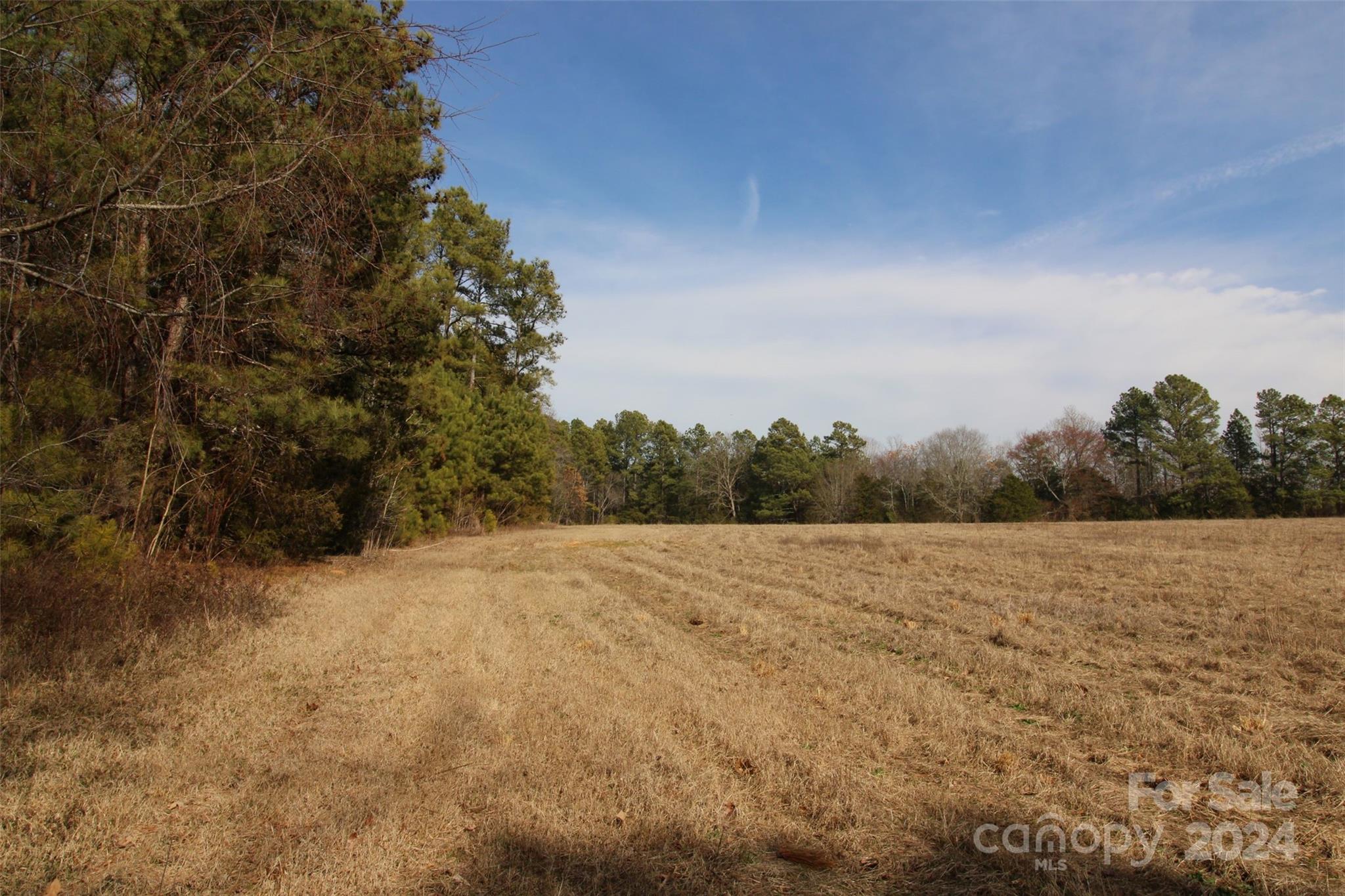 18-ac Quinn Road Chester, SC 29706 - Photo 4 of 12