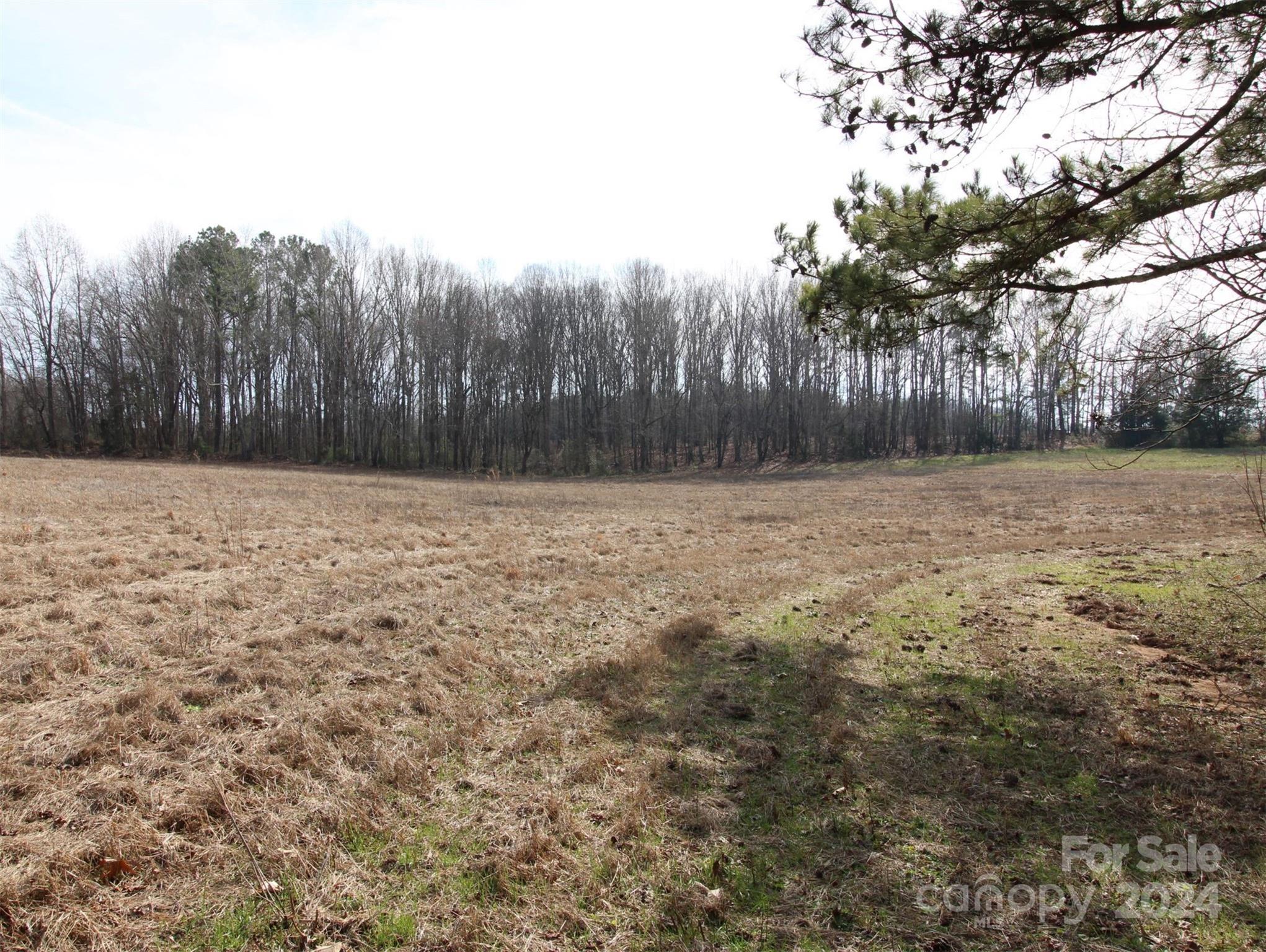 18-ac Quinn Road Chester, SC 29706 - Photo 5 of 12