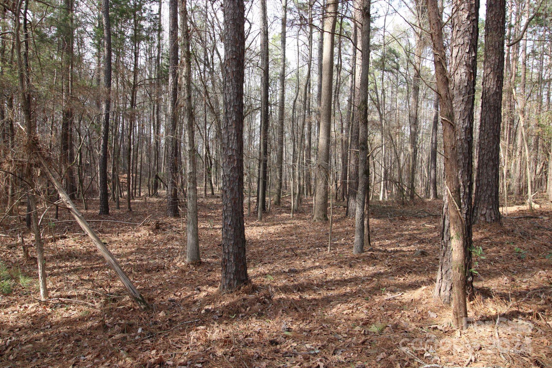 18-ac Quinn Road Chester, SC 29706 - Photo 7 of 12