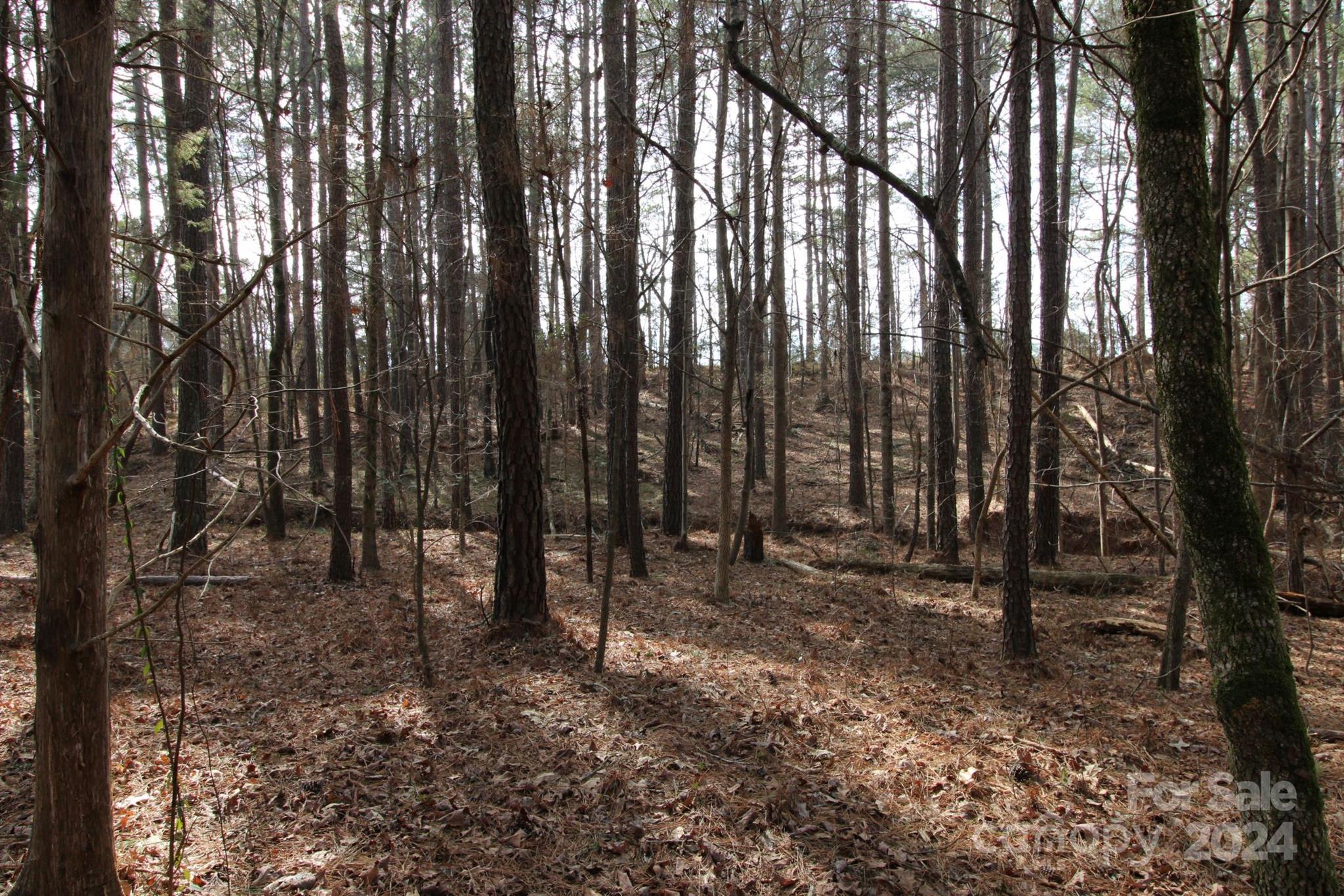 18-ac Quinn Road Chester, SC 29706 - Photo 8 of 12