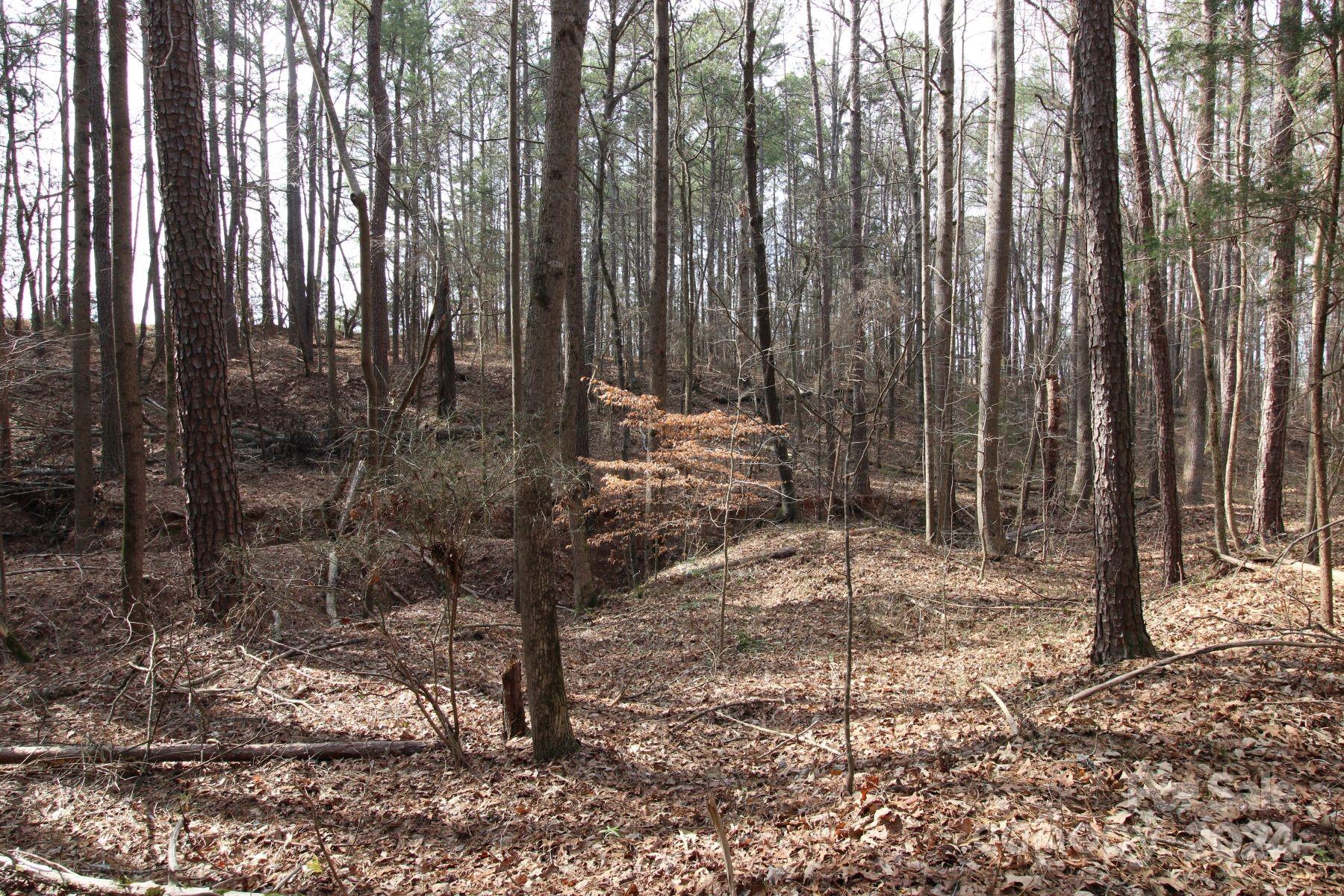 18-ac Quinn Road Chester, SC 29706 - Photo 10 of 12