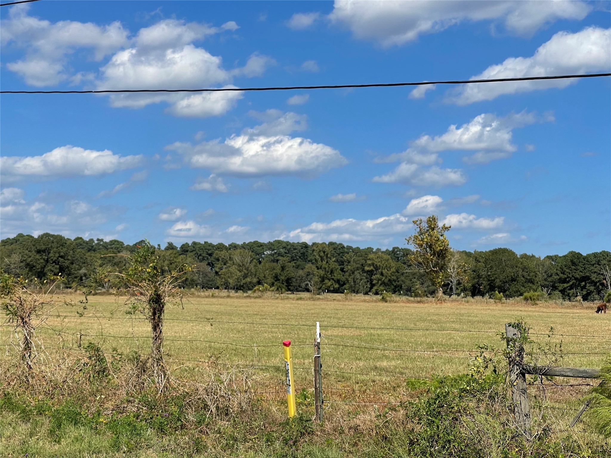 20386 FM 2854 Road Montgomery, TX 77316 - Photo 1 of 16 a view of lake view and mountain view