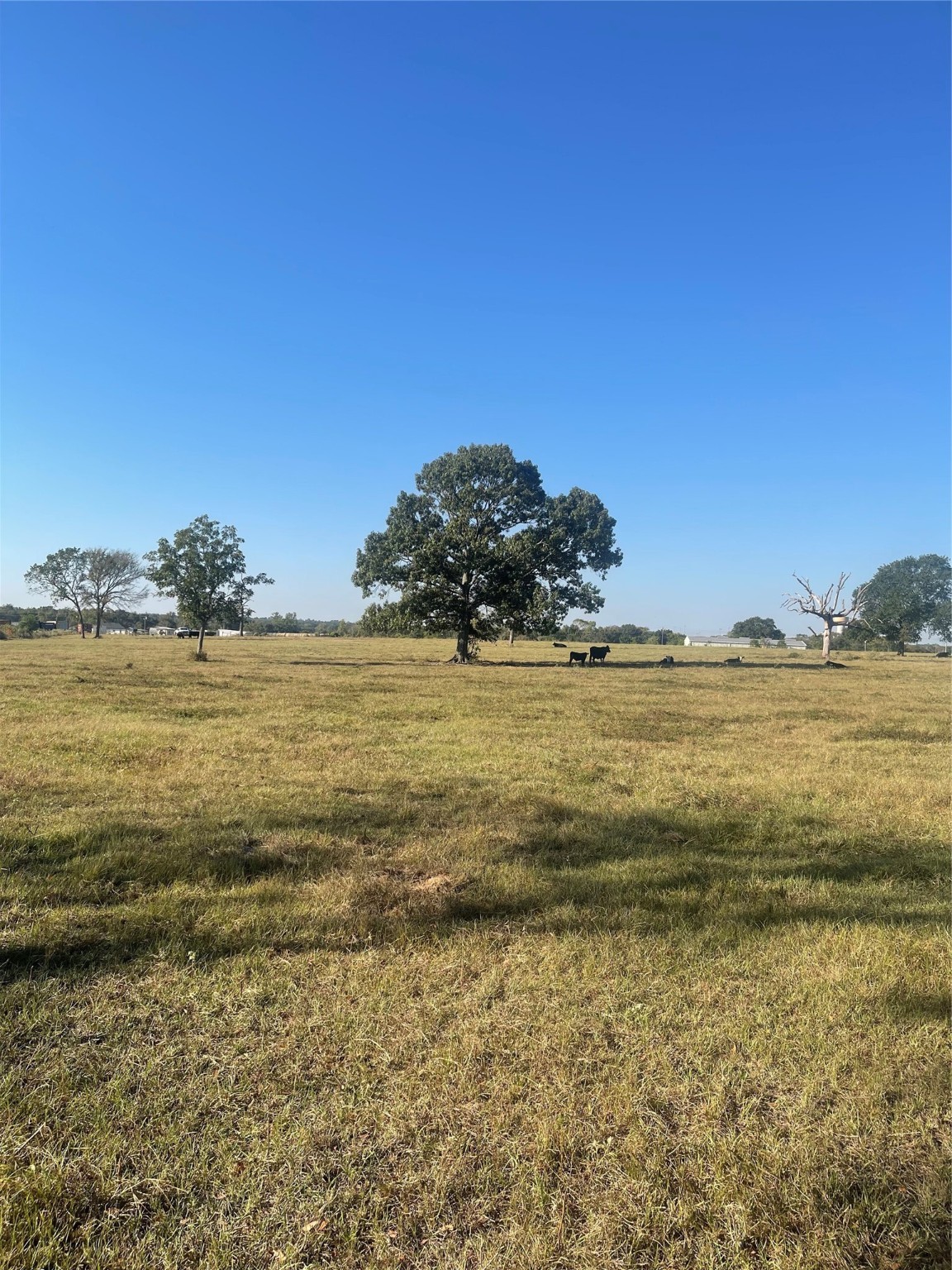 20386 FM 2854 Road Montgomery, TX 77316 - Photo 13 of 16 a view of an ocean