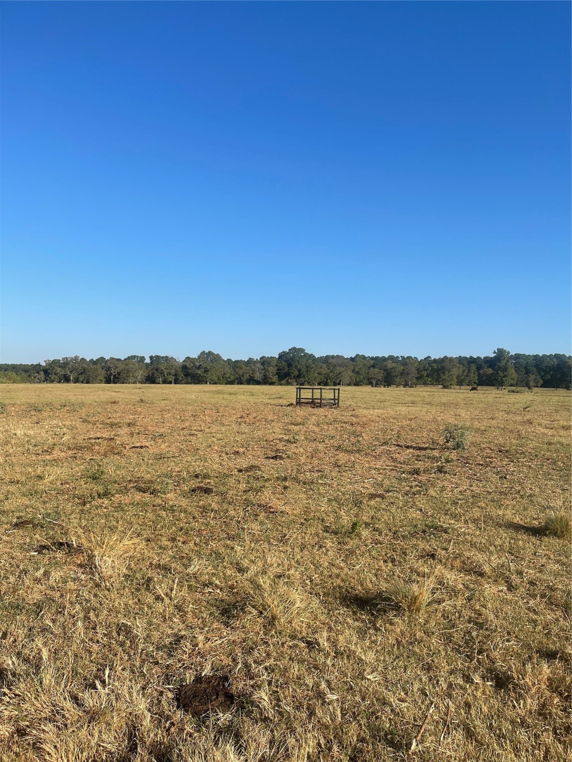 20386 FM 2854 Road Montgomery, TX 77316 - Photo 16 of 16 a view of an ocean