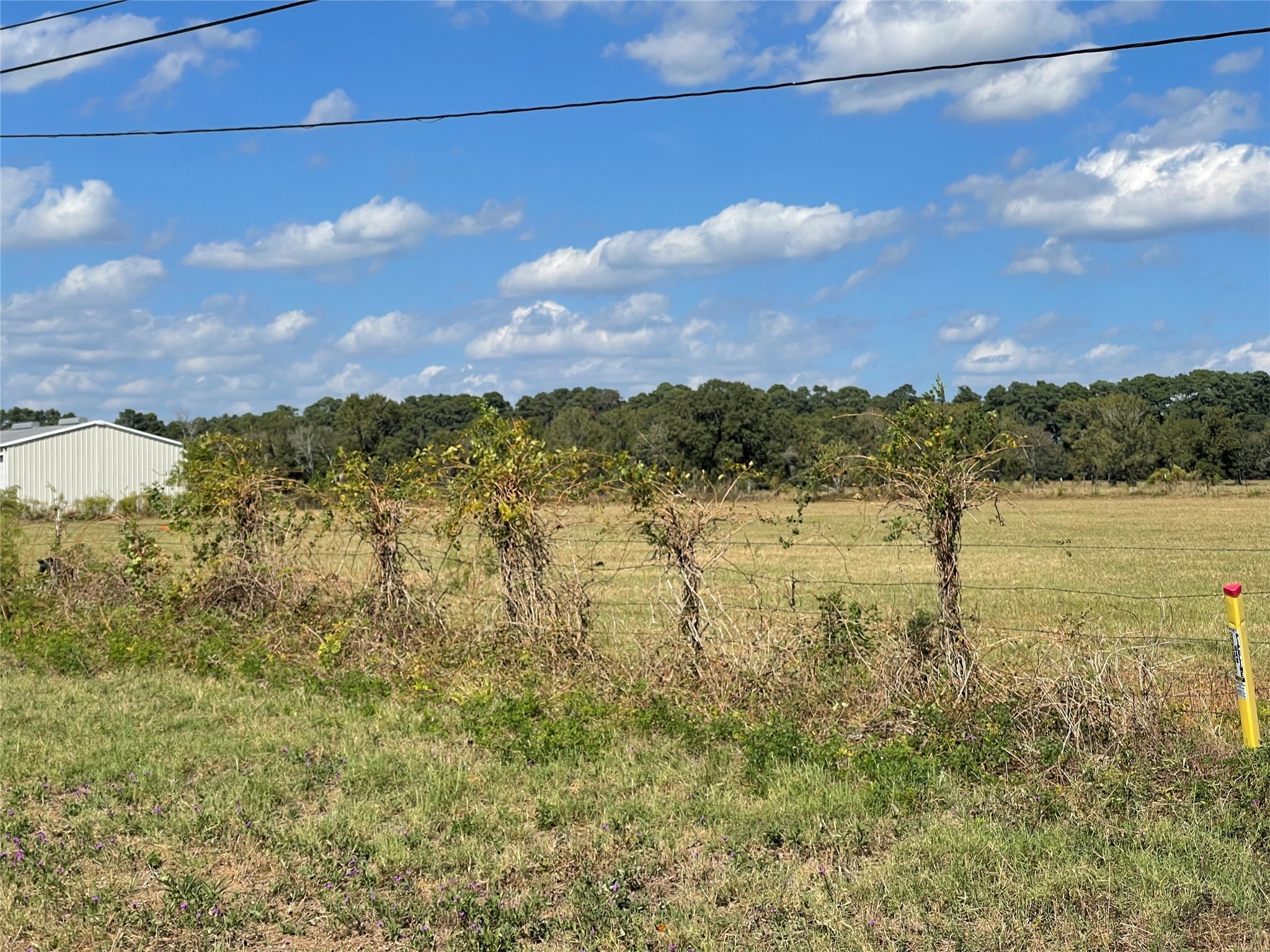 20386 FM 2854 Road Montgomery, TX 77316 - Photo 2 of 16 a view of a lake
