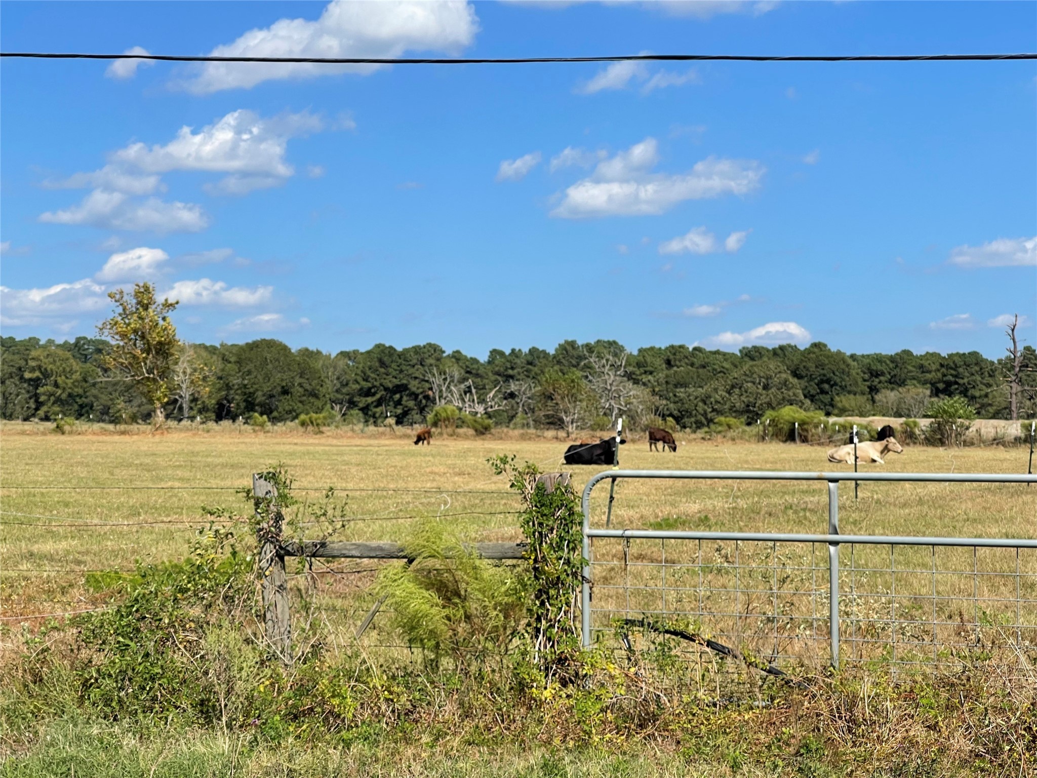 20386 FM 2854 Road Montgomery, TX 77316 - Photo 3 of 16 a view of a city