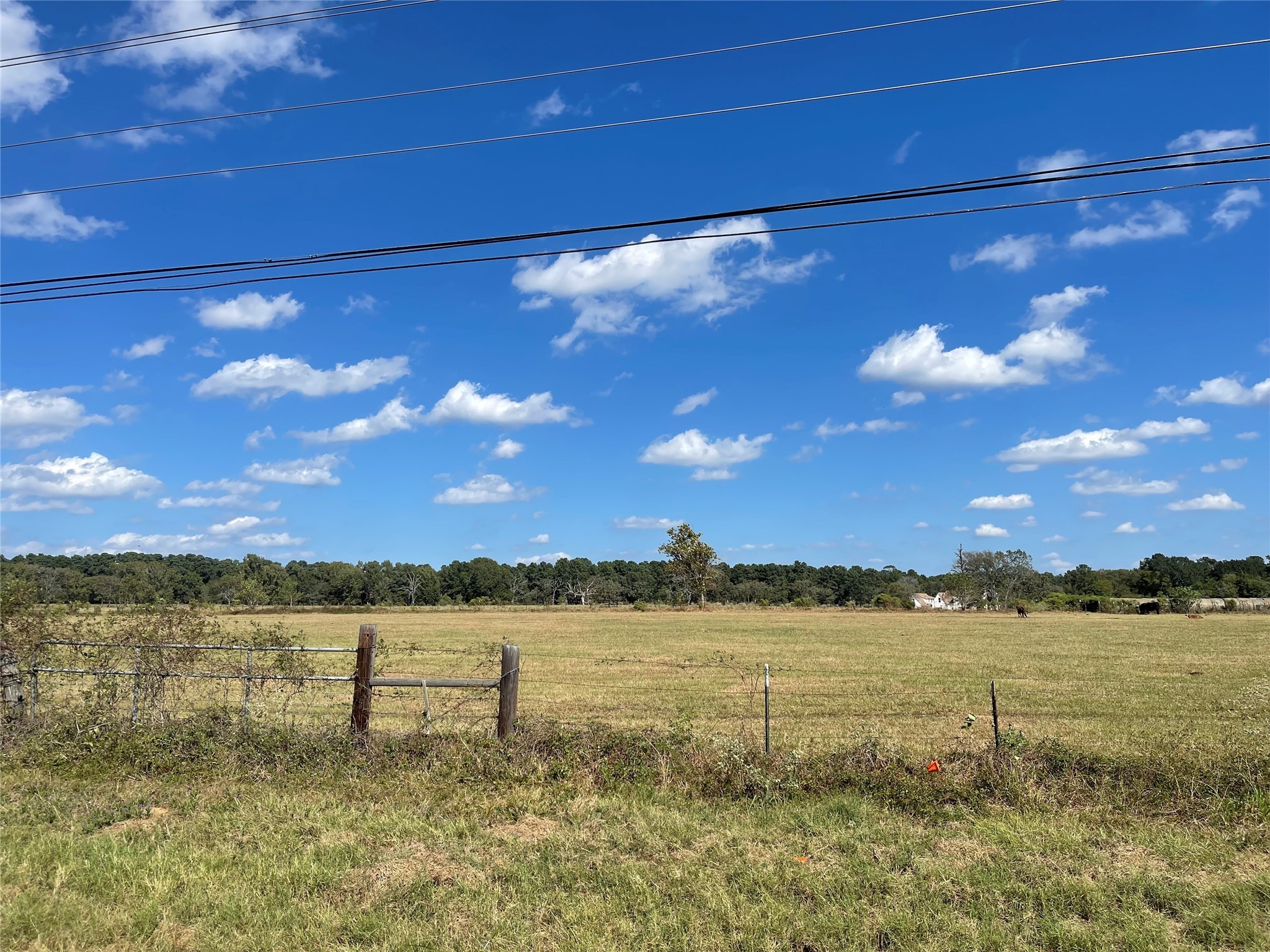 20386 FM 2854 Road Montgomery, TX 77316 - Photo 4 of 16 a view of a lake with outdoor space