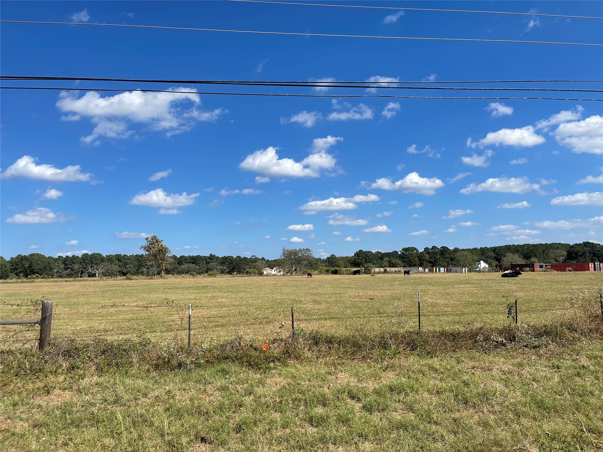 20386 FM 2854 Road Montgomery, TX 77316 - Photo 6 of 16 a view of a lake and sunset