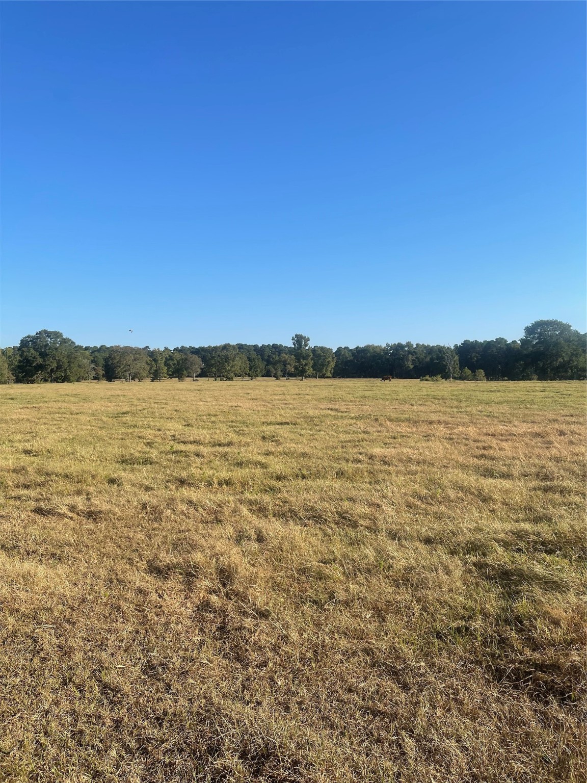 20386 FM 2854 Road Montgomery, TX 77316 - Photo 7 of 16 a view of an ocean