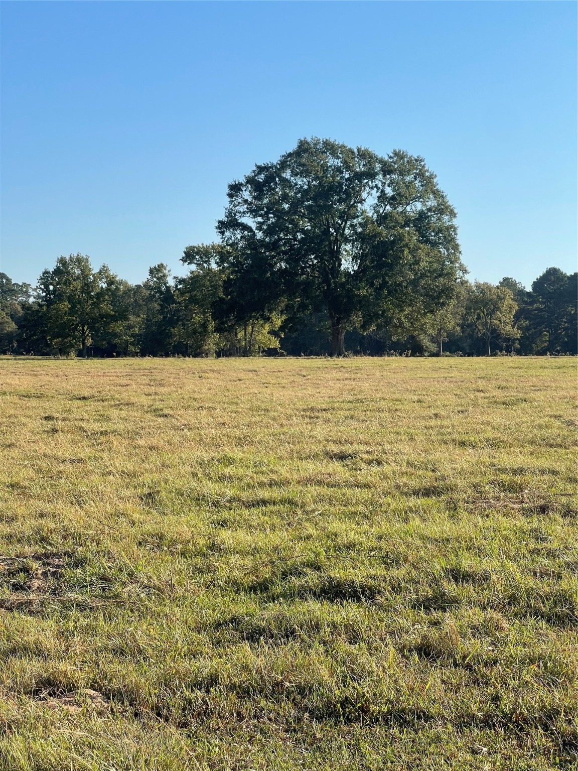 20386 FM 2854 Road Montgomery, TX 77316 - Photo 9 of 16 a view of an ocean