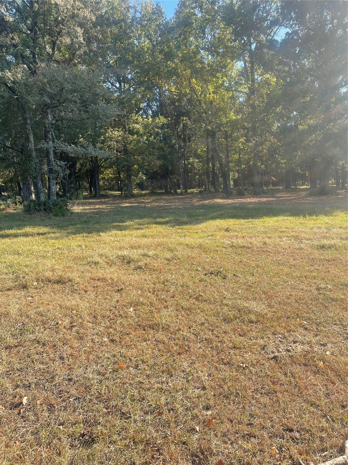 20386 FM 2854 Road Montgomery, TX 77316 - Photo 10 of 16 a view of a swimming pool with an outdoor space