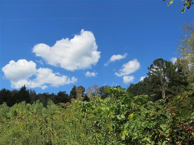 5 Les Ferrell Road Stewart, TN 37175 - Photo 2 of 4 Gallery Image 2