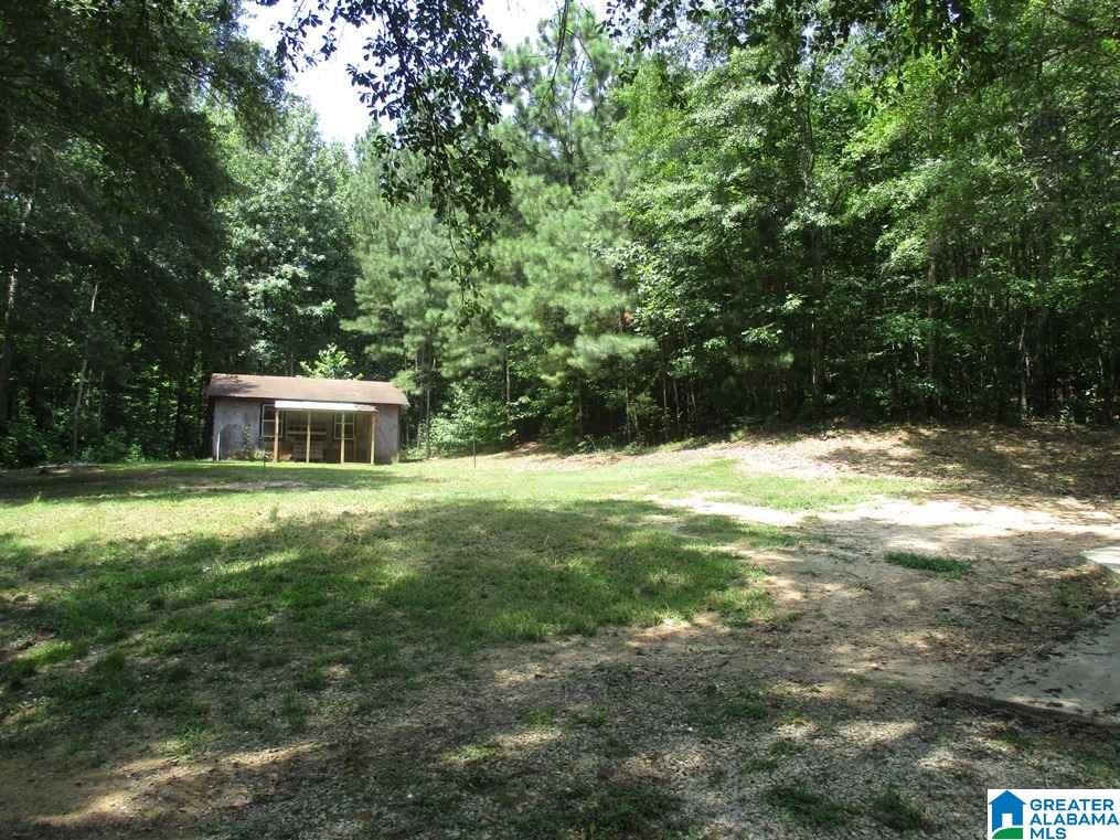 3315 Pine Mountain Road Remlap, AL 35133 - Photo 18 of 20