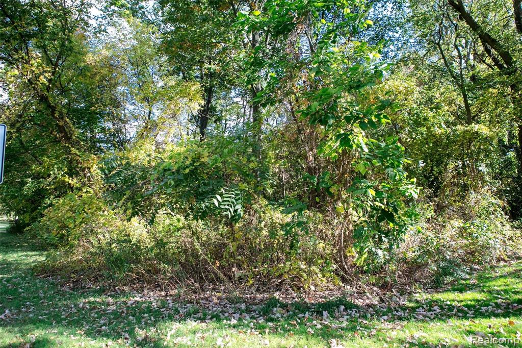 0 West Nine Mile Road Southfield, MI 48075 - Photo 1 of 1
