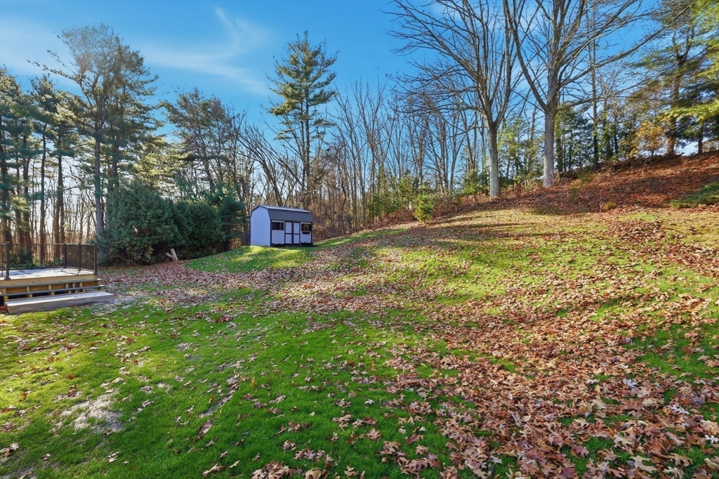 287 Whitney Avenue Holyoke, MA 01040 - Photo 38 of 40 a view of a yard with plants and trees