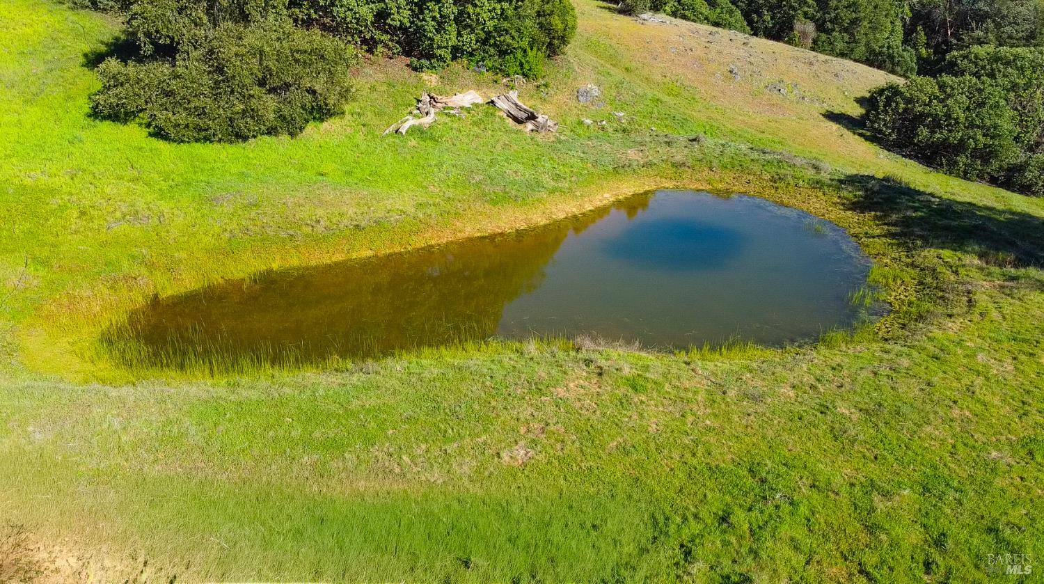 1510 Boonville Road Ukiah, CA 95482 - Photo 18 of 26 a view of a yard