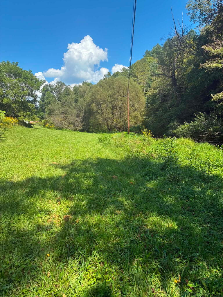 6048 Clearfork Road Bastian, VA 24314 - Photo 22 of 25 Gallery Image 22