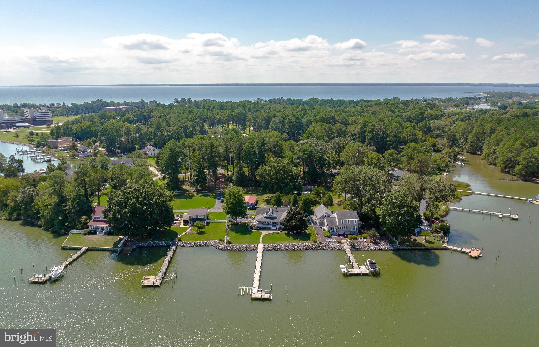 17559 River Drive Piney Point, MD 20690 - Photo 11 of 81