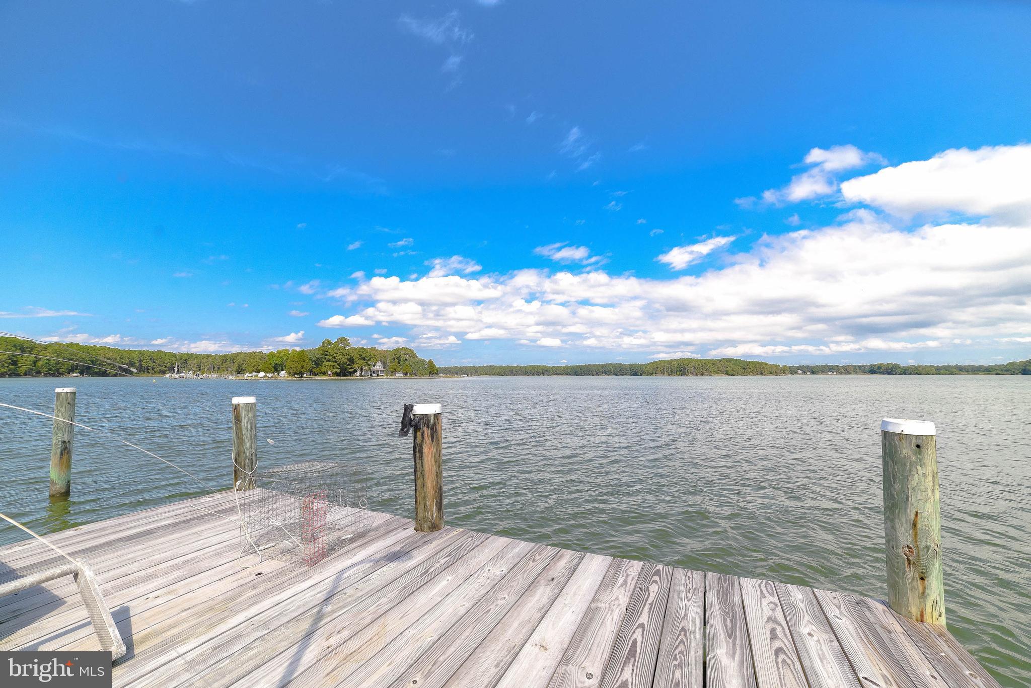 17559 River Drive Piney Point, MD 20690 - Photo 16 of 81